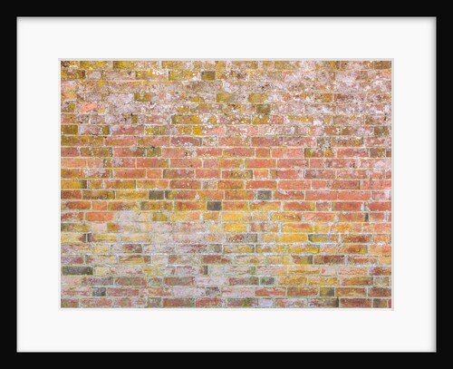Brickwall by Assaf Frank